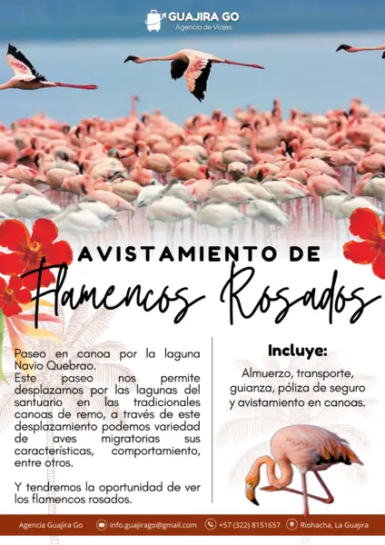 Avistamiento de Flamenco Rosado